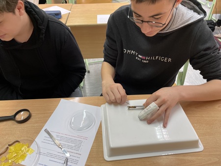 Naravoslovni-dan (15)